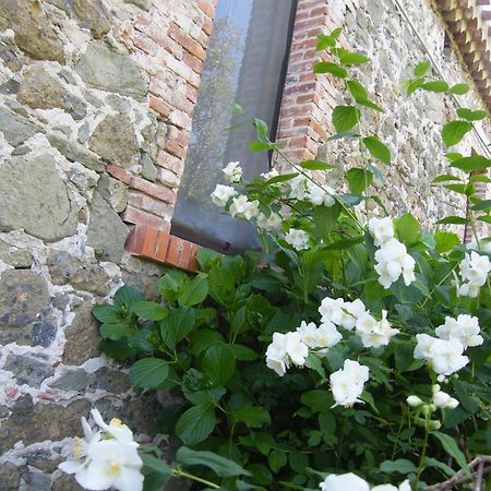 Agriturismo Il Giglio Oristano Exterior photo