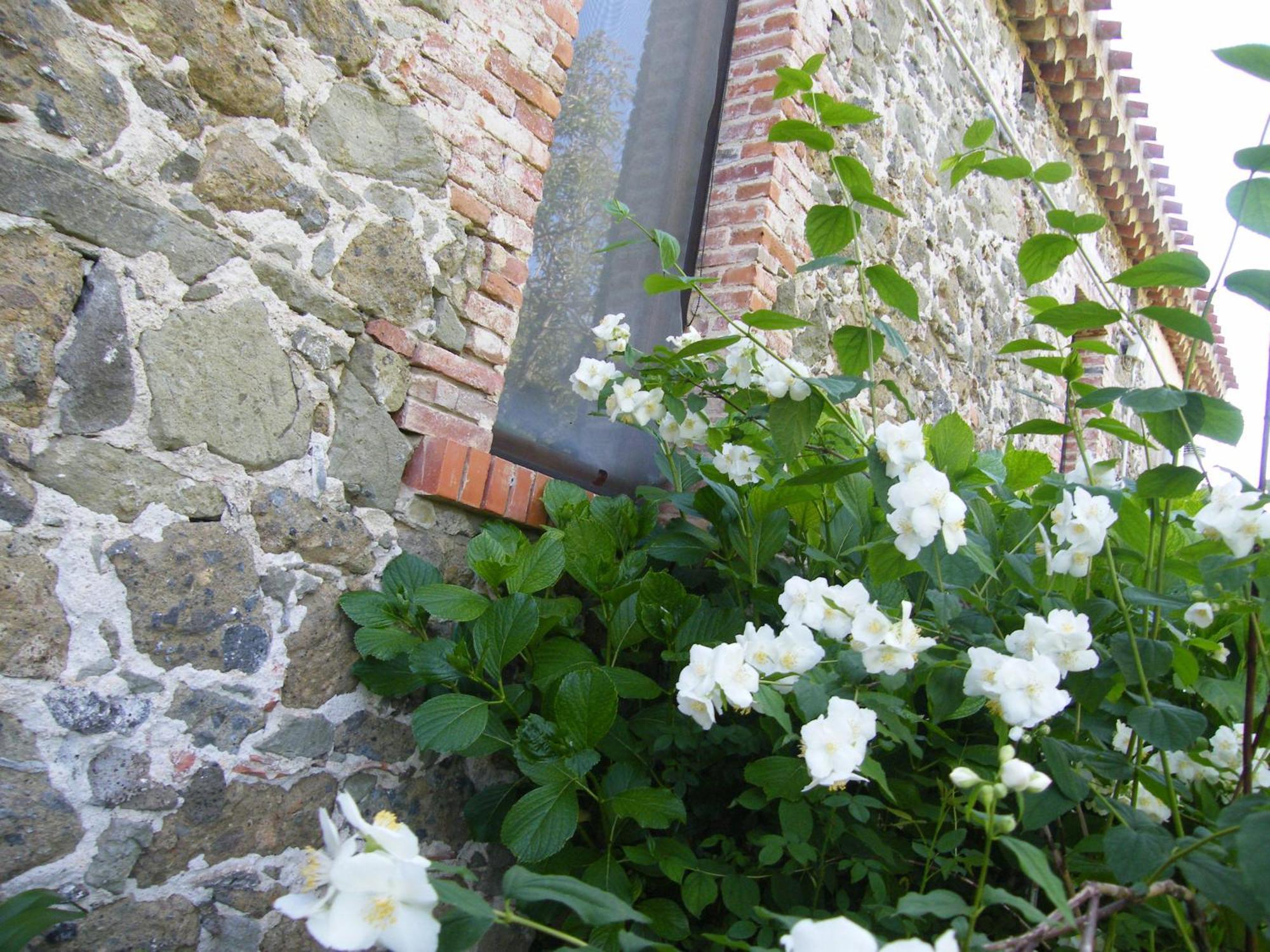 Agriturismo Il Giglio Villa Oristano Exterior photo