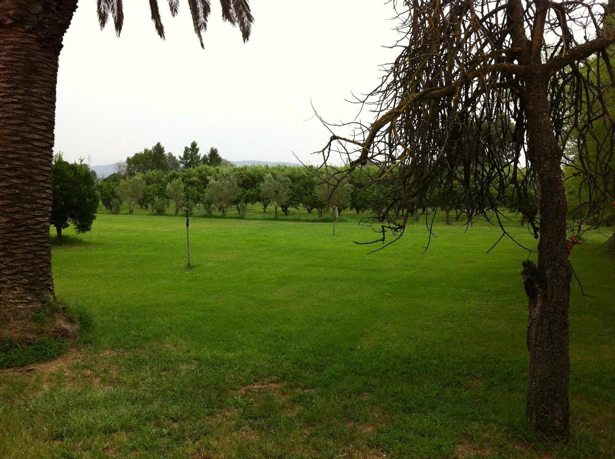 Agriturismo Il Giglio Villa Oristano Exterior photo