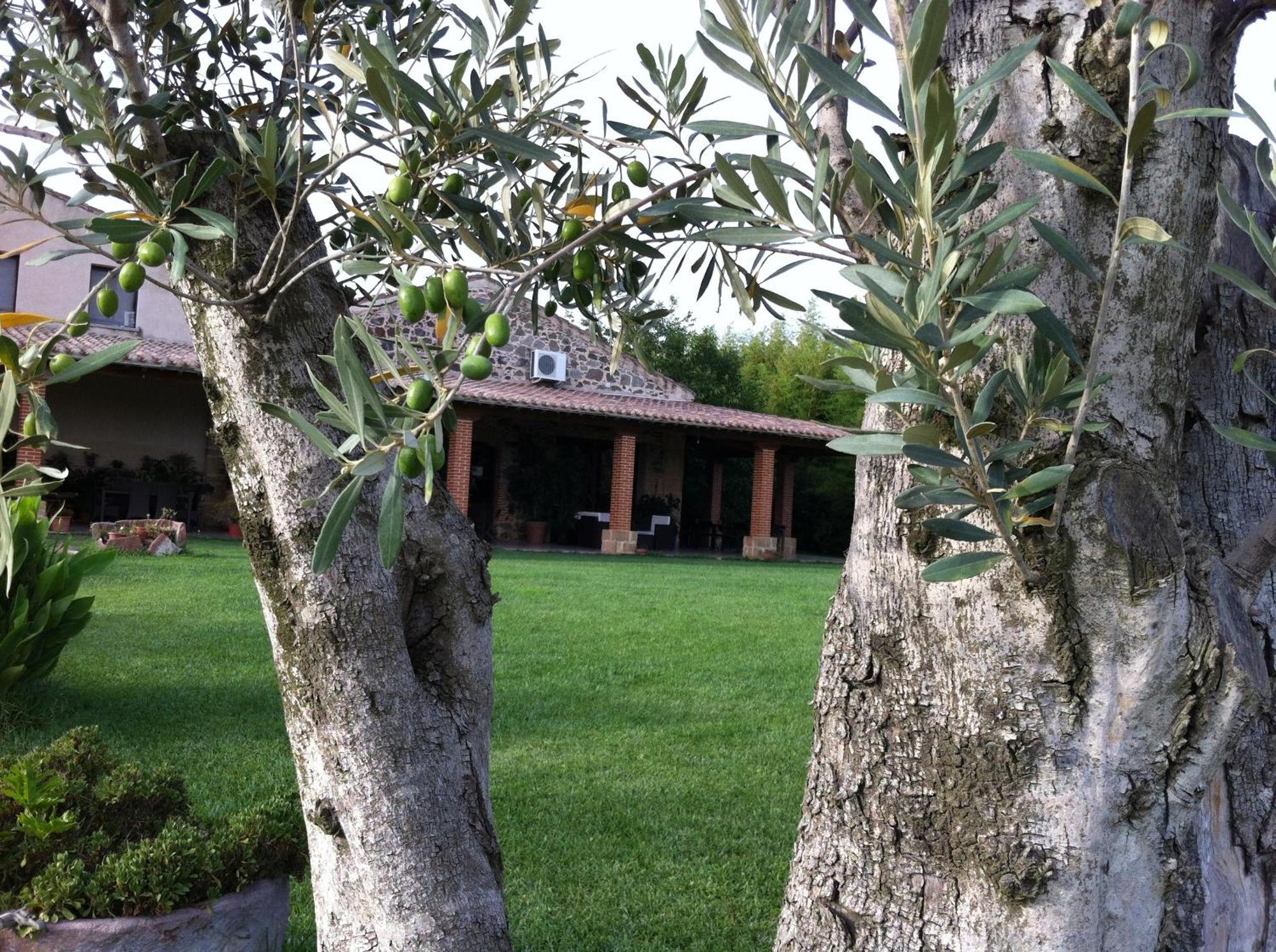 Agriturismo Il Giglio Oristano Exterior photo