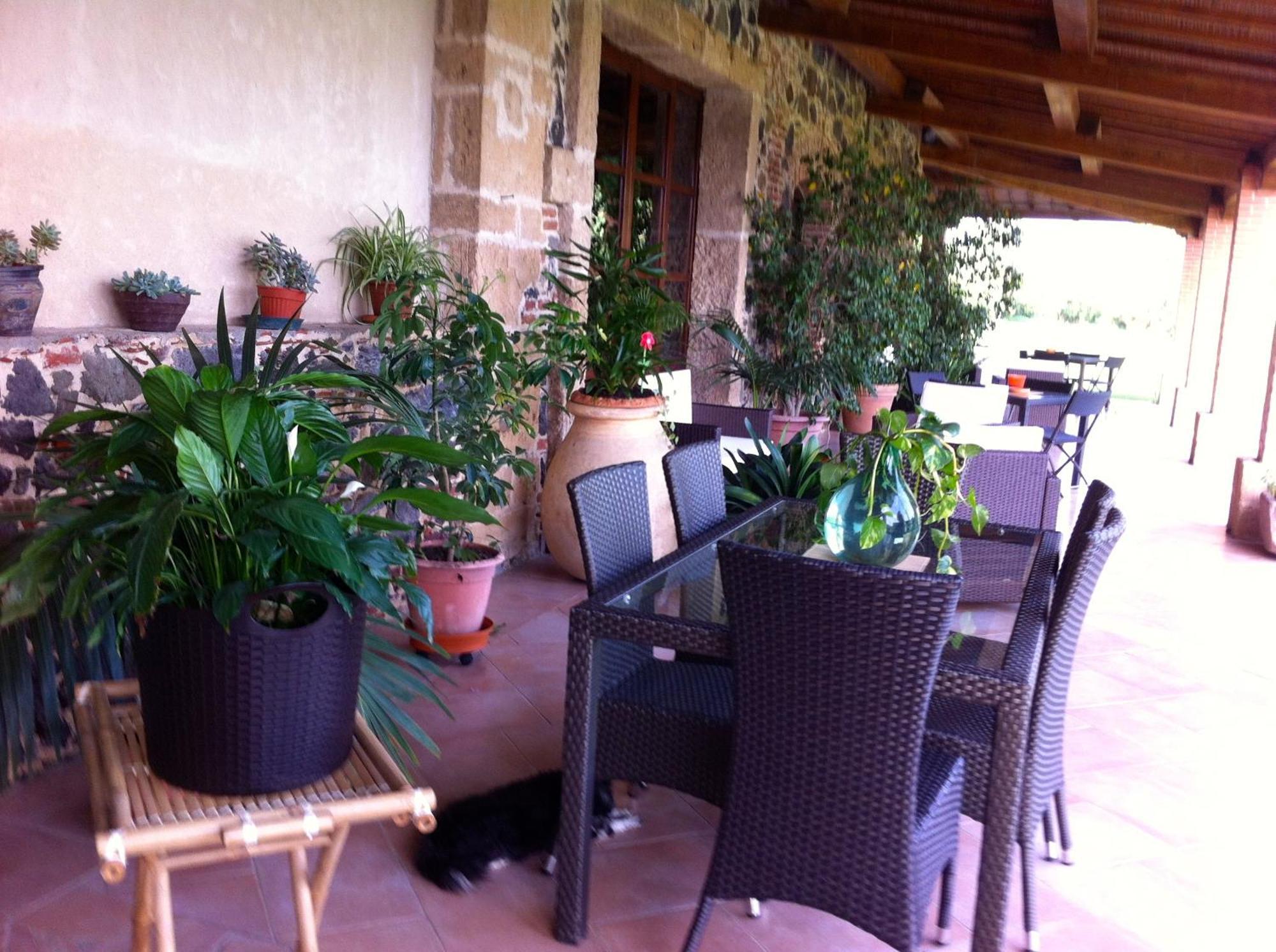 Agriturismo Il Giglio Oristano Exterior photo